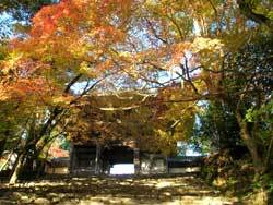 神護寺: 京都はんなり旅