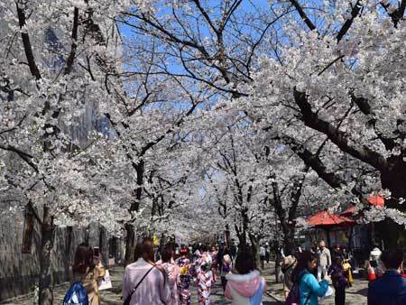 写真集 写真集