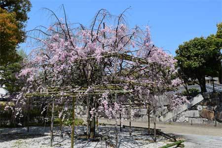 渉成園: 京都はんなり旅